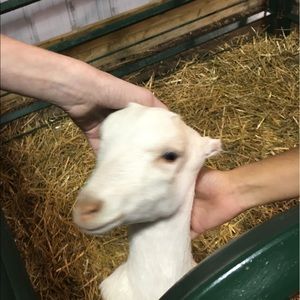 Meet your Posher, Emma